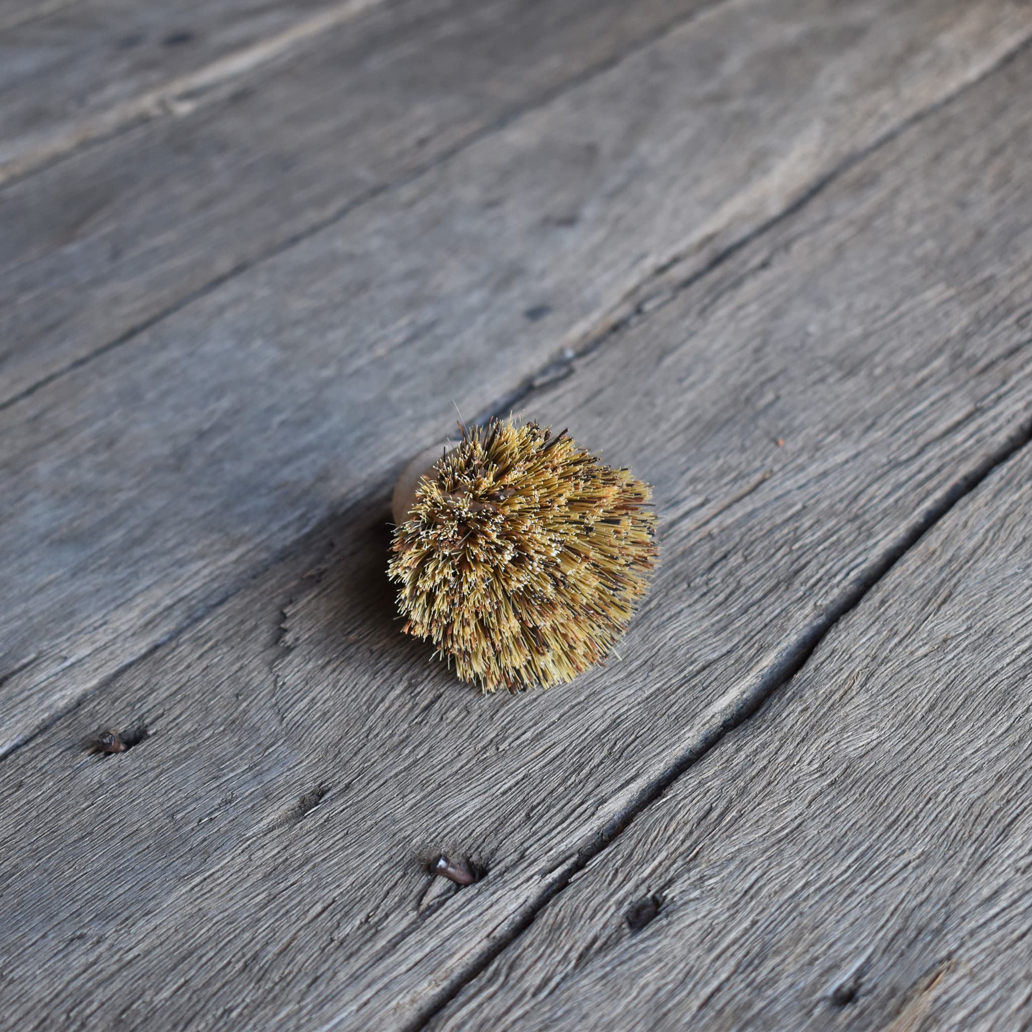 Redecker Besser Pot Brush union fibre bristles.