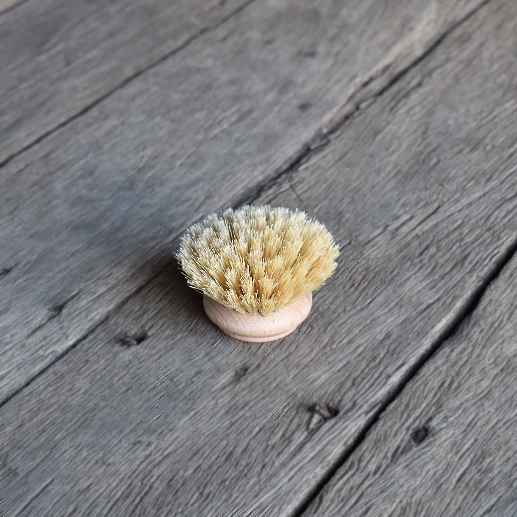 Redecker dish brush replacement head made from beechwood timber and tampico fiber bristles.