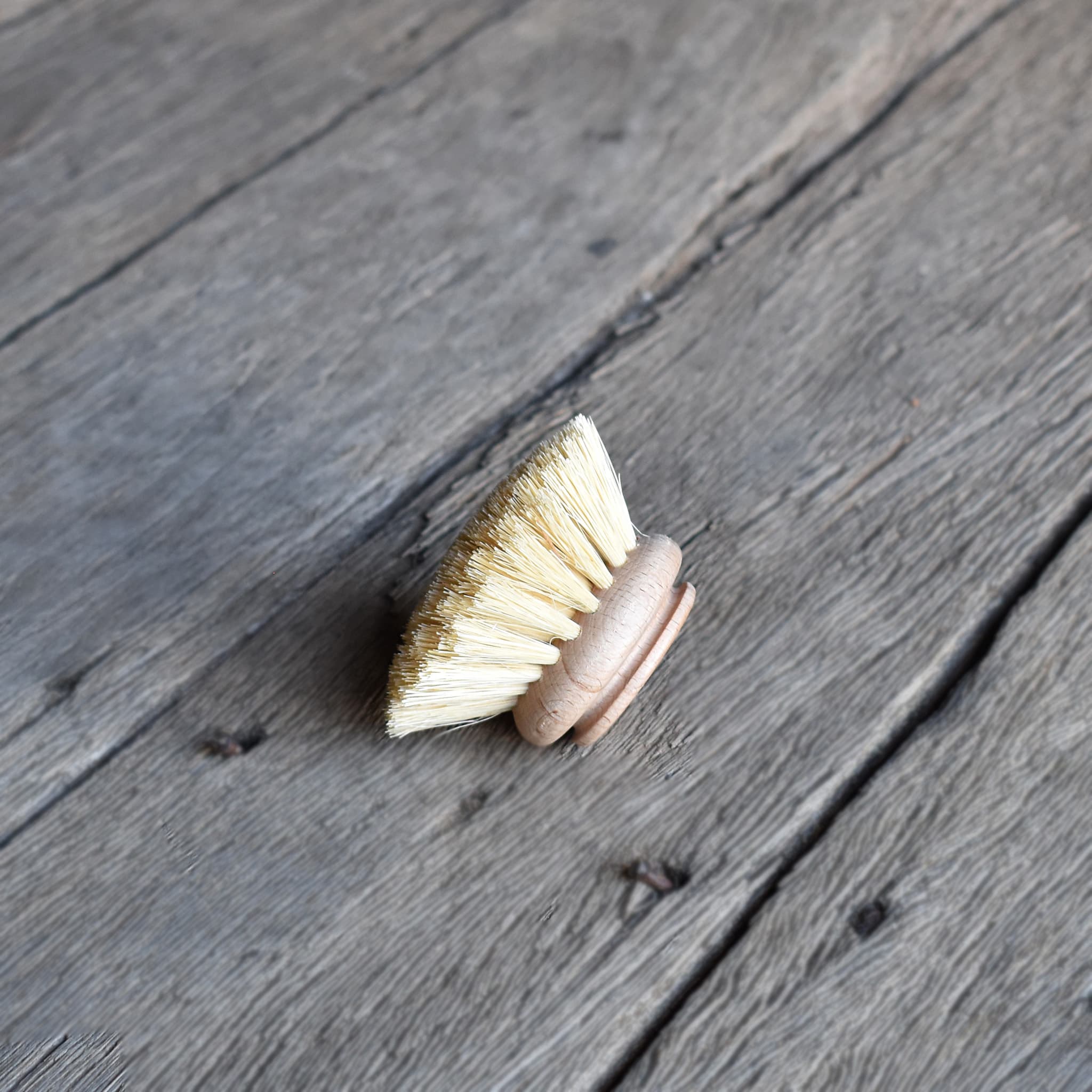 Redecker dish brush replacement head made from beechwood timber and tampico fiber bristles.