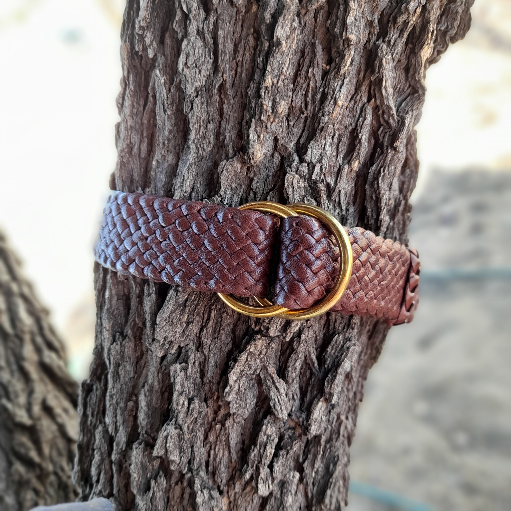 Kangaroo Leather Plaited Belt Longreach. 11 Strand. Brass Buckle.