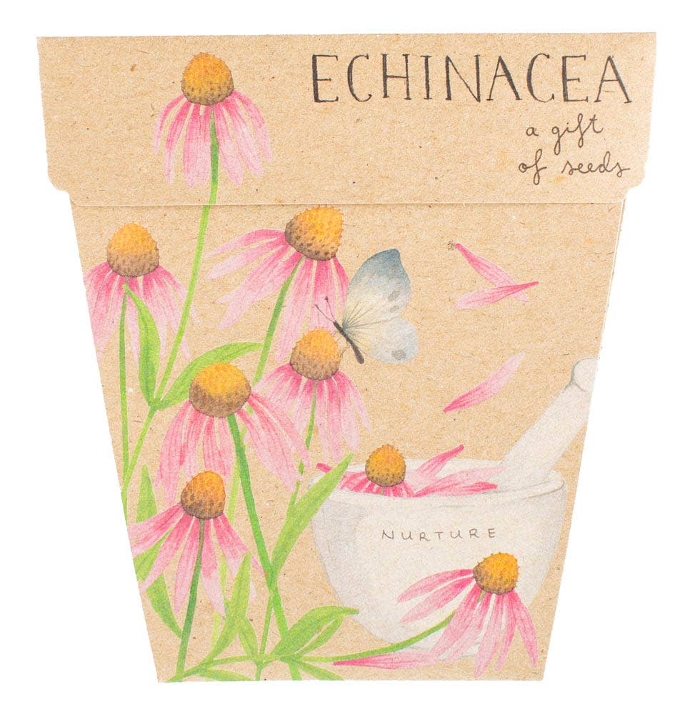 Brown seed enveope with Echinacea flower on front