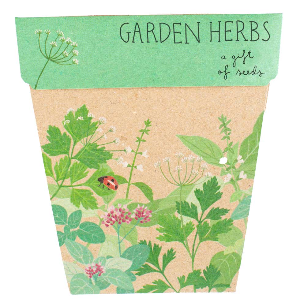 Brown and Green seed envelope with Garden of Herbs on the front