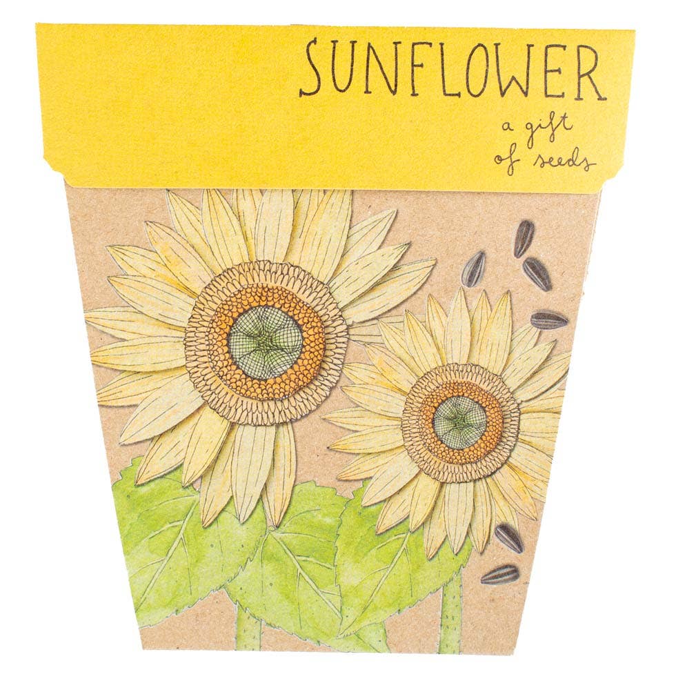 Brown and yellow envelope with Sunflower picture and text. 
