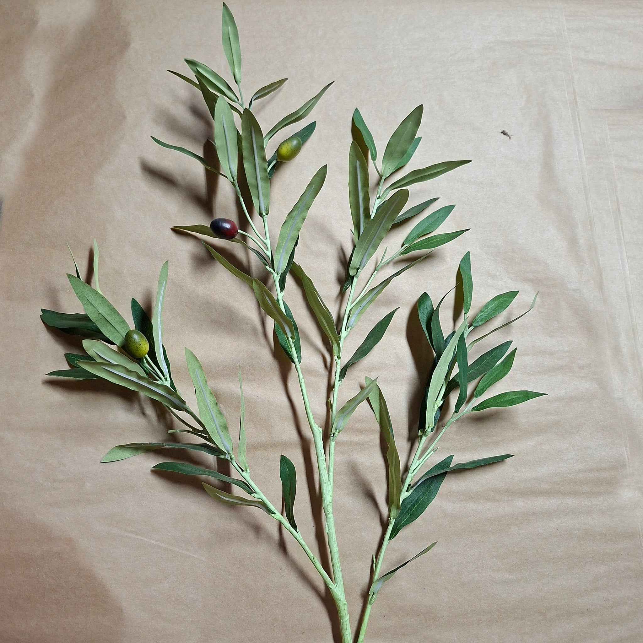 Artificial olive branch on a beige background