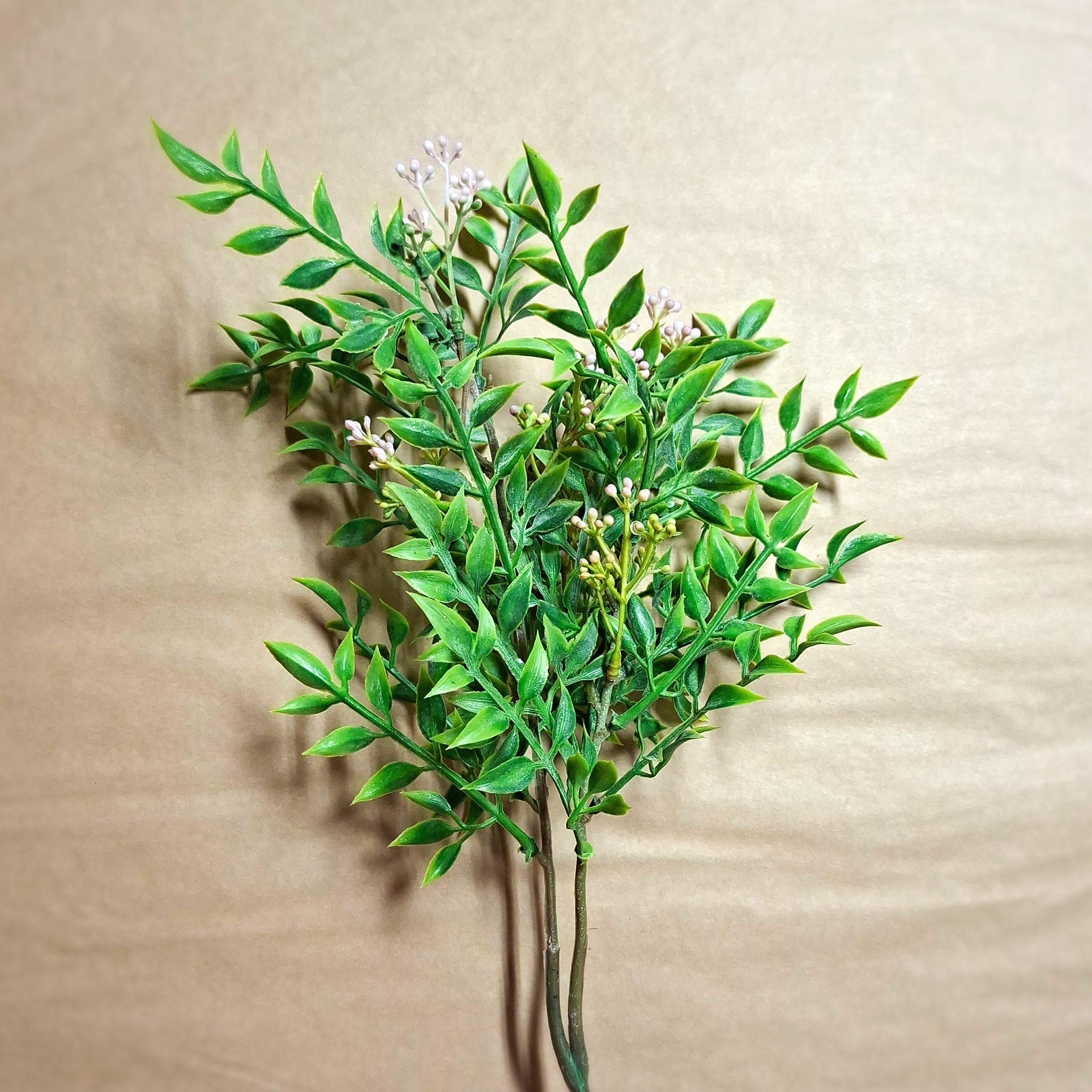 Flower seed spray green and pink on beige background