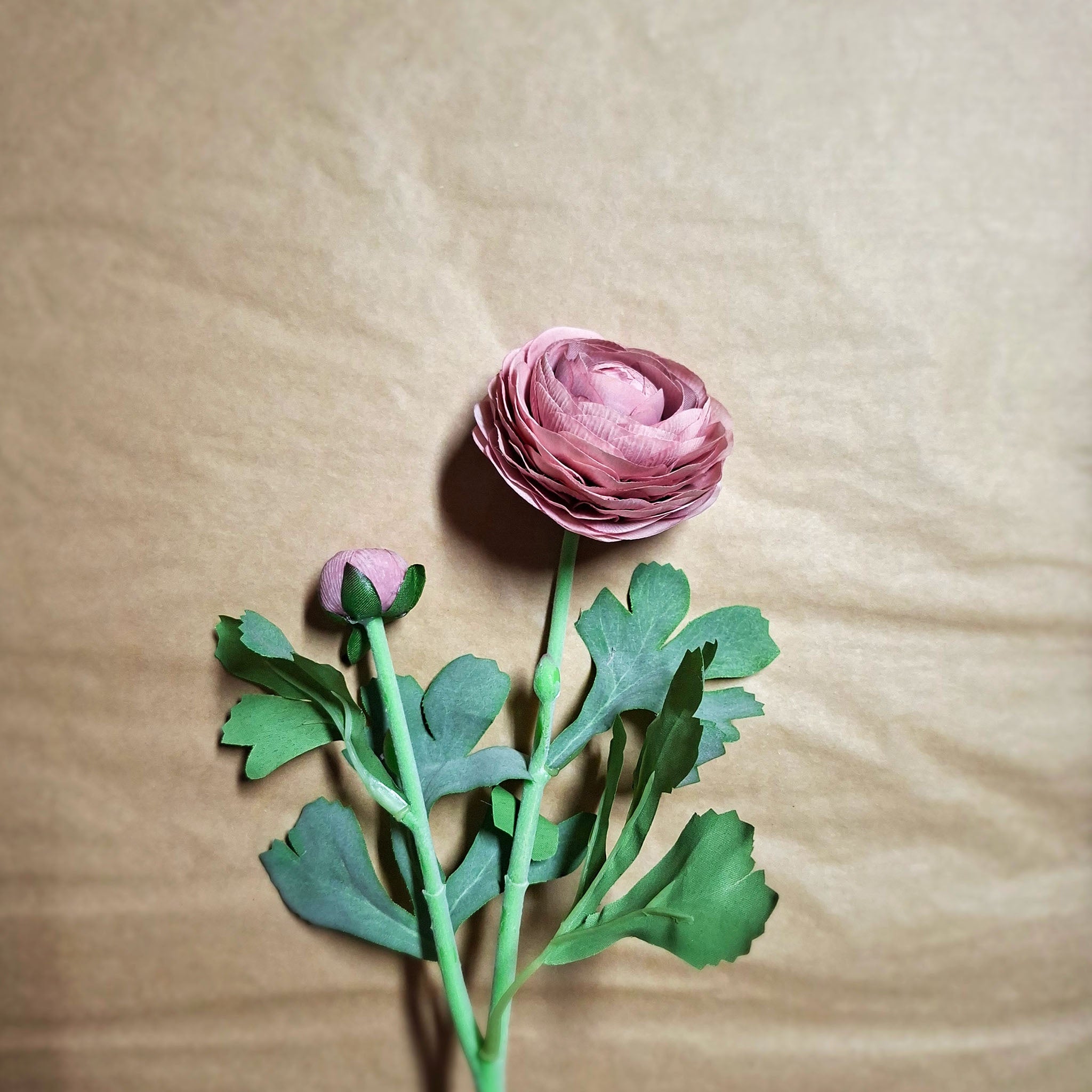 Artificial pink ranunculus flower with green leaves on a beige background