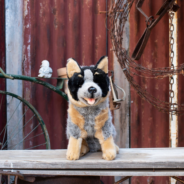 Soft Toy Dog Blue Heeler The Station Store