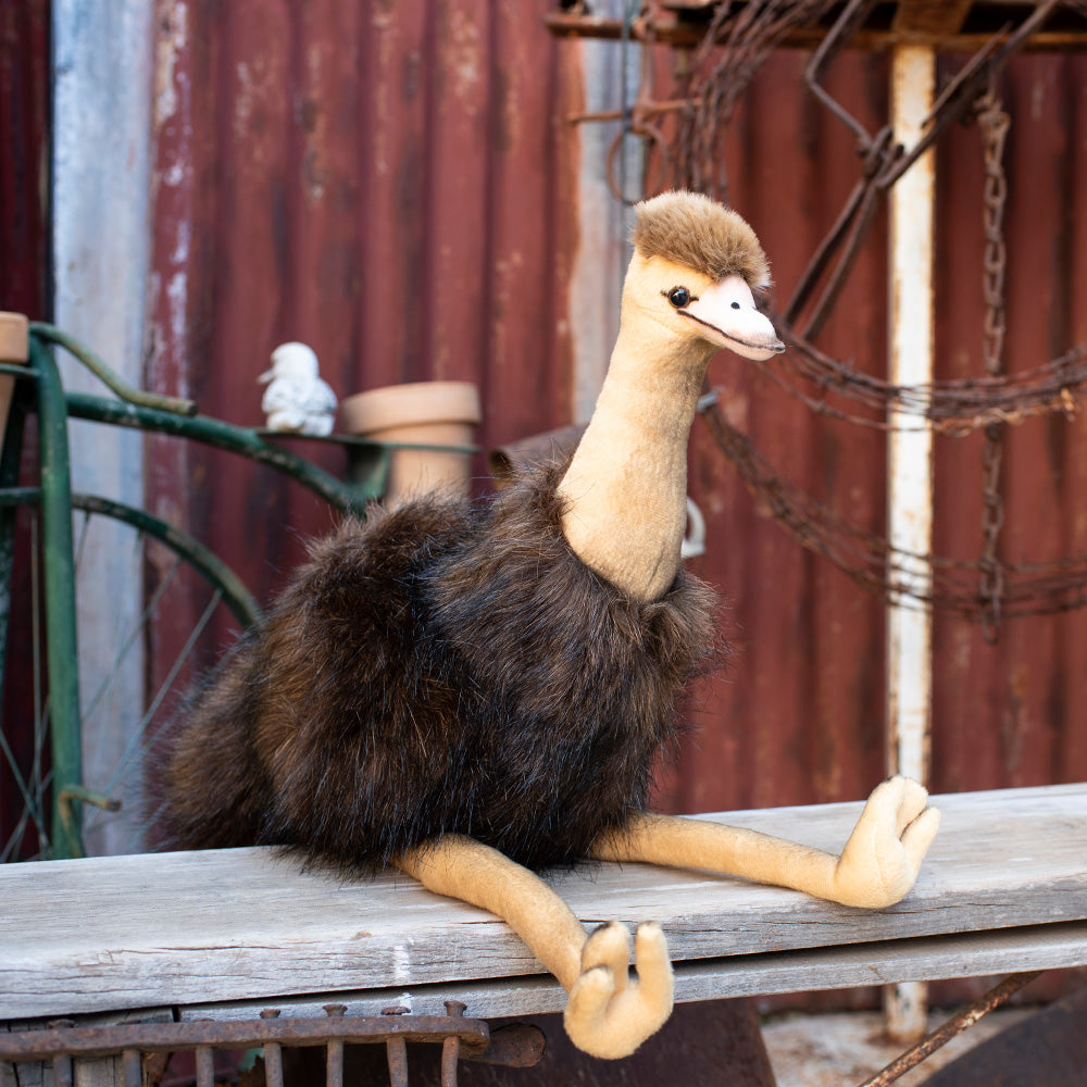 Stuffed Toy - Emu